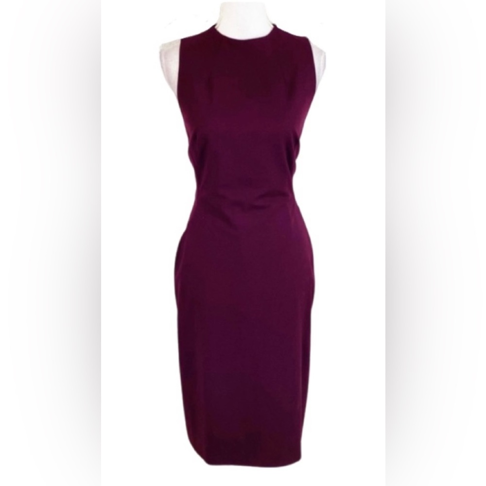 Antonio Melani Fitz Dress Size 12